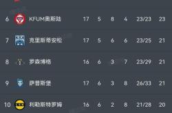 开云体育app-挪威世界杯资格有望，欧预赛步步惊心